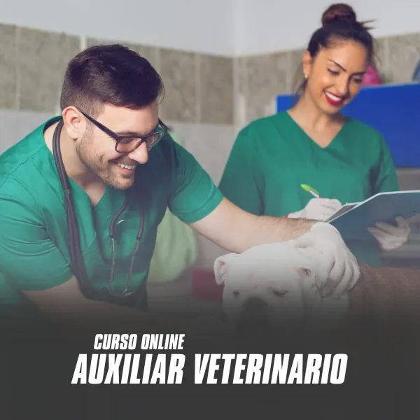 AUXILIAR VETERINÁRIO Transforme sua paixão por animais em carreira